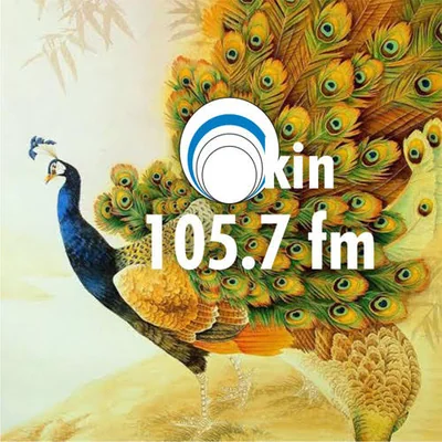 Okin 105.7 FM — Offa, Kwara State, Nigeria, Nigeria live radio station logo